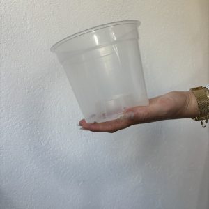 Prozirna tegla 15 cm